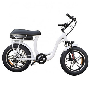 Lantu Ebike OEM 500 watt motor 20 inch fat tire electric step thru beach cruiser e bike for women