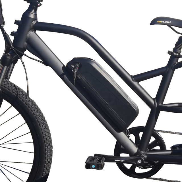 Lantu Ebike high quality cargo bike long tail electric bike with rain cover