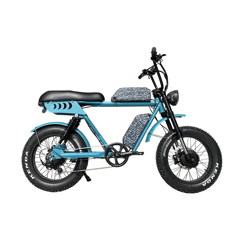 Wholesale custom 20 wheel two person awd fat tire electric bike with double battery USA