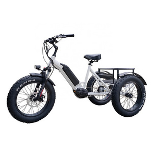 Wholesale OEM Customized 3 wheel mid drive trike electric bike bicycle for adults