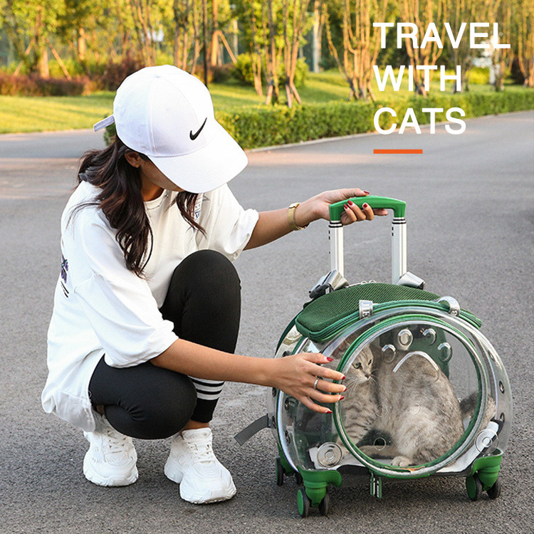 Fashion New Luxury Airline Approved Dog Travel Pet Trolley Case Travel Transport Bag Carrier Dog Backpack Luggage Box With Wheel