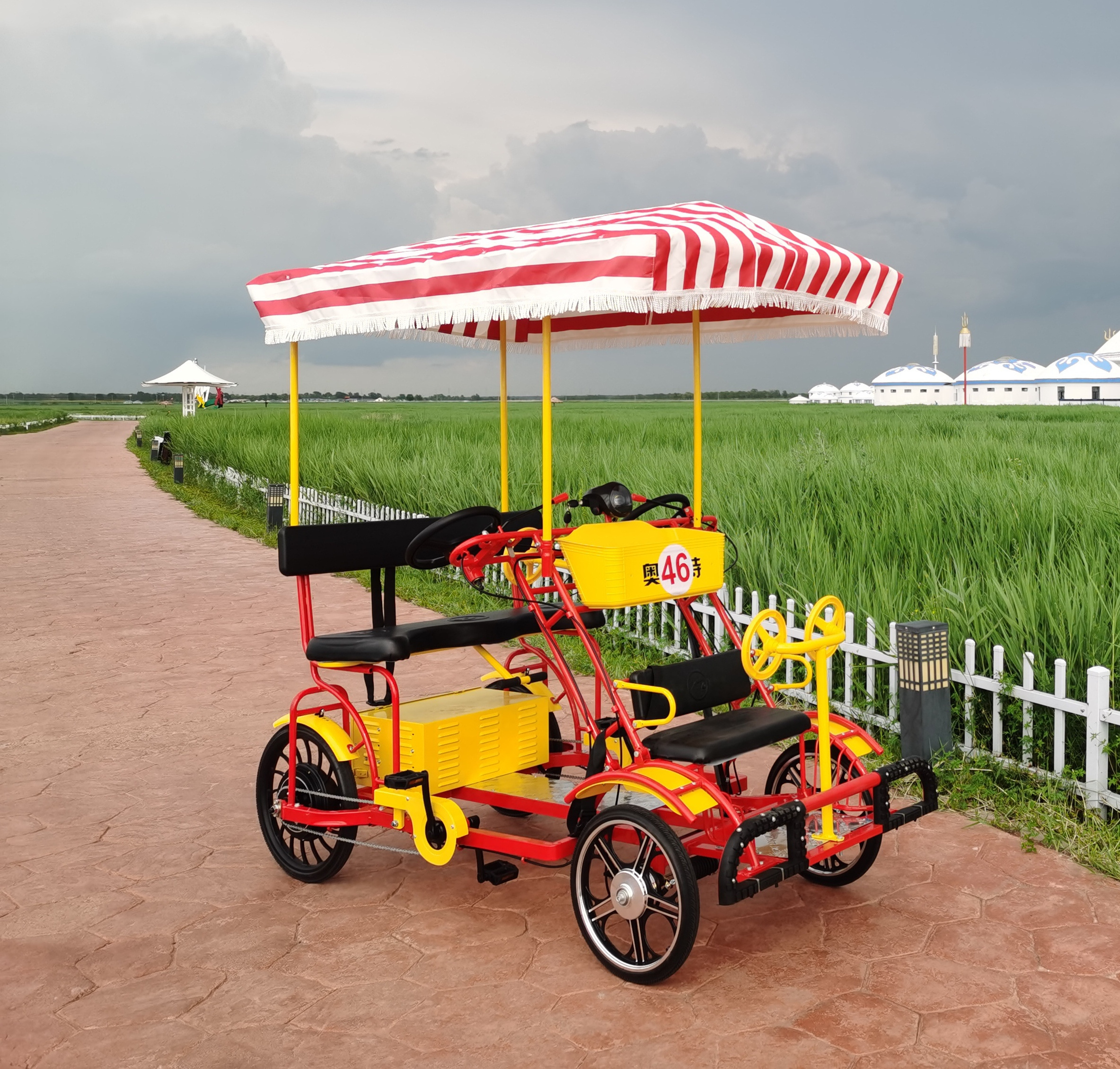 2 seats electric pedal assistant tandem bike for rent electric tandem bike 1000W 48V