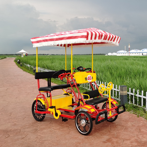 2 seats electric pedal assistant tandem bike for rent electric tandem bike 1000W 48V