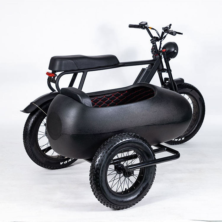 2024 Hot Selling Electric Retro Bicycles Electric Tricycle Side Trike Ebike with CE Certification