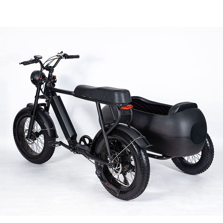 EBIKE Three Wheel Pedal Assist 48V 750W Electric Fat Tire Tricycle with Sidecar to Carry Pets Sidecar Motorcycle