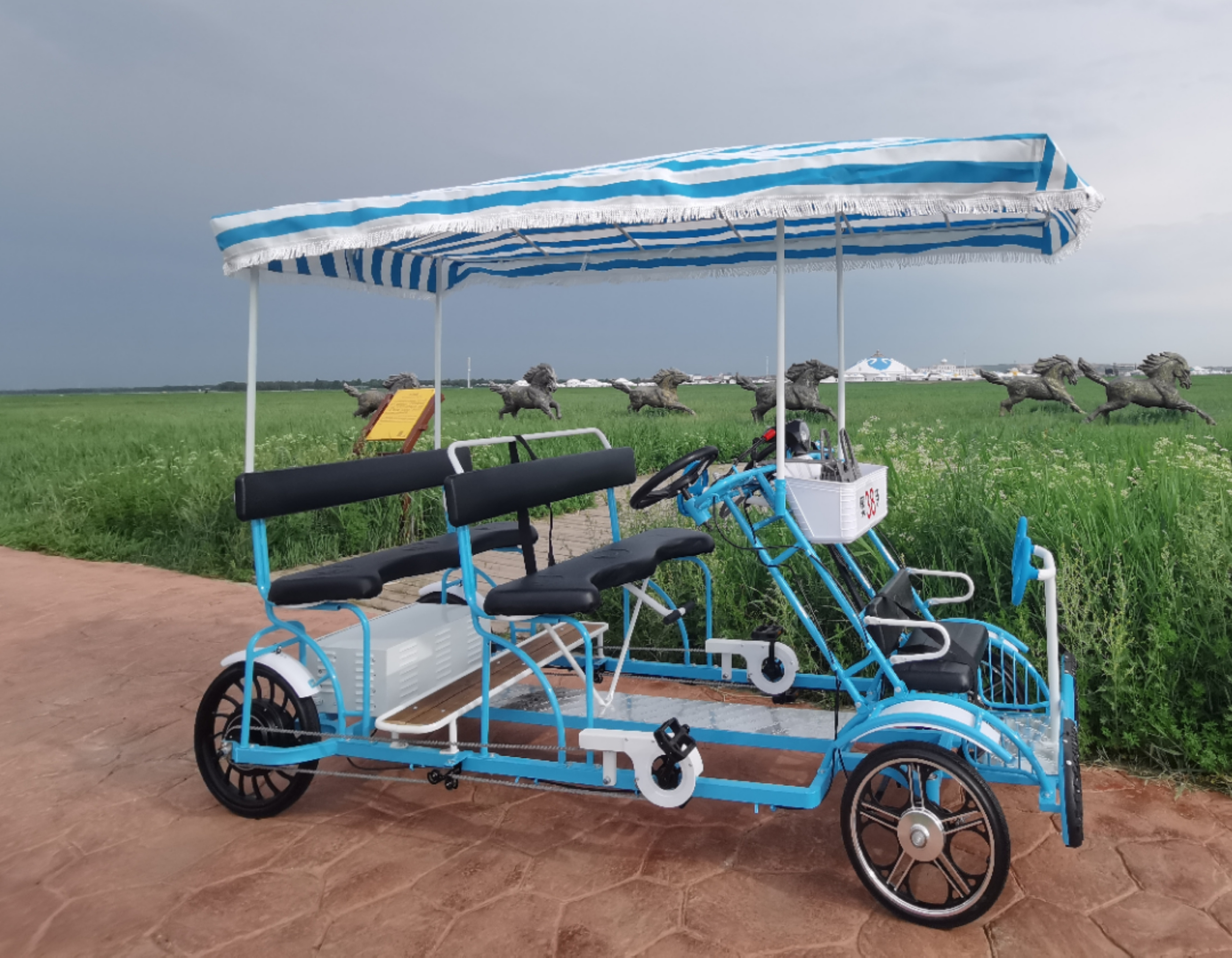 2 seats electric pedal assistant tandem bike for rent electric tandem bike 1000W 48V