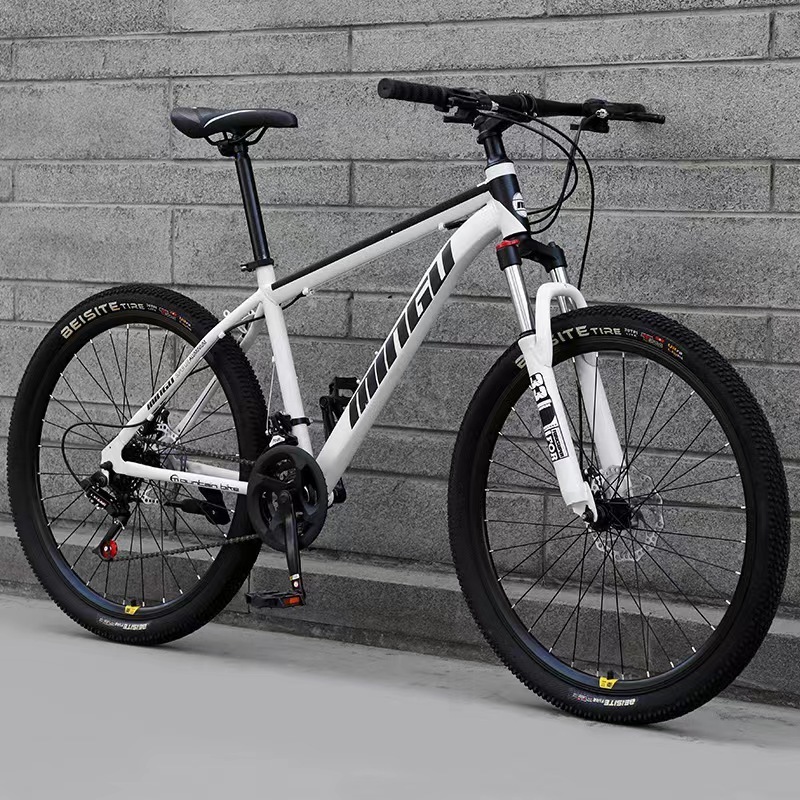 Bicystar made  alloy mountain bicycles/29 inch bicycle mountain bike for sale/21 speed mountain bike big wheels bicicleta aro 29