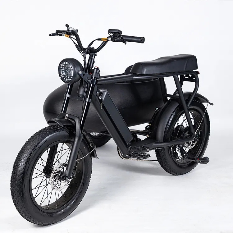 2024 New utility fat tire electric bicycle sidecar 500W 750w ebike cargo pedelec electric bikes