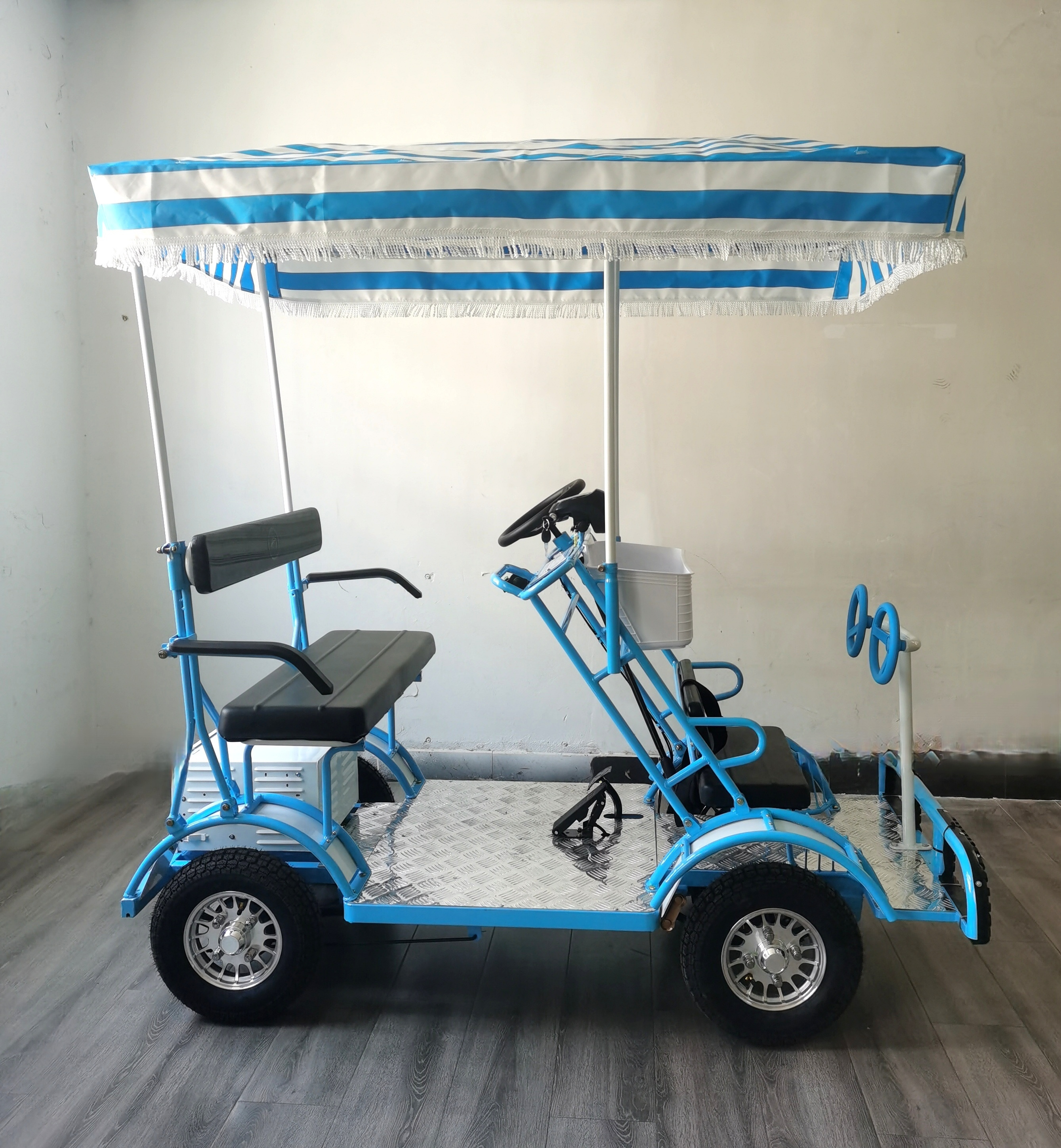 2 seats electric pedal assistant tandem bike for rent electric tandem bike 1000W 48V