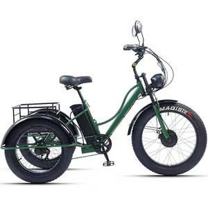 Fat tire Electric Tricycle Hot sell 48V 18Ah 750W 24-inch High carbon steel frame 7 Speed