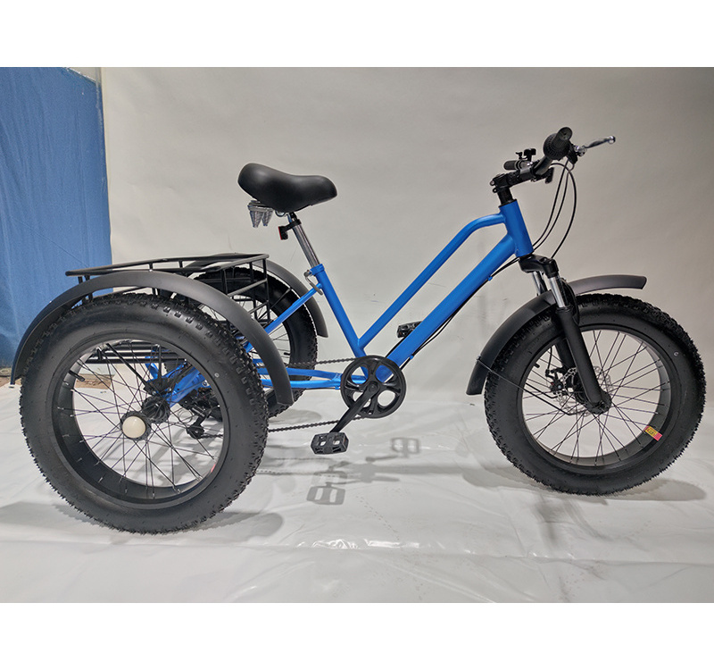 wholesaler adults 3 wheel car cargo electric chinese electric tricycle fat tire electric tricycle