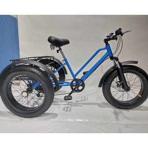 wholesaler adults 3 wheel car cargo electric chinese electric tricycle fat tire electric tricycle