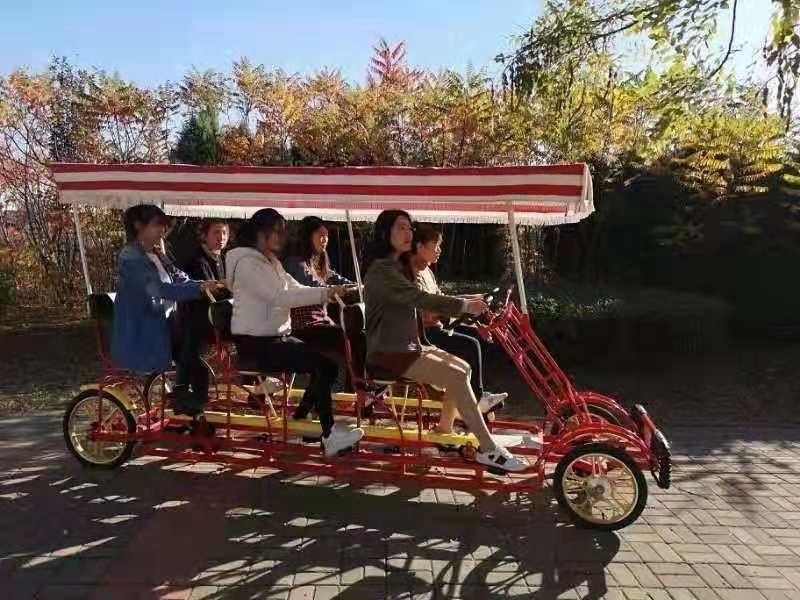 6 person touring cycle tandem bicycle/three rows sightseeing bike/ surrey bike bicycle