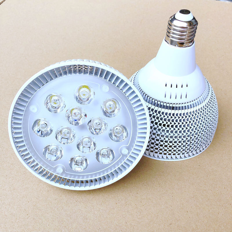 COB Led Bulb PAR38 PAR30 PAR20 20W E27 Warm White Cold White COB LED Spot light