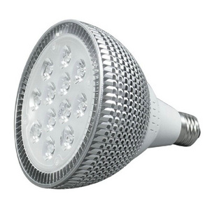 COB Led Bulb PAR38 PAR30 PAR20 20W E27 Warm White Cold White COB LED Spot light