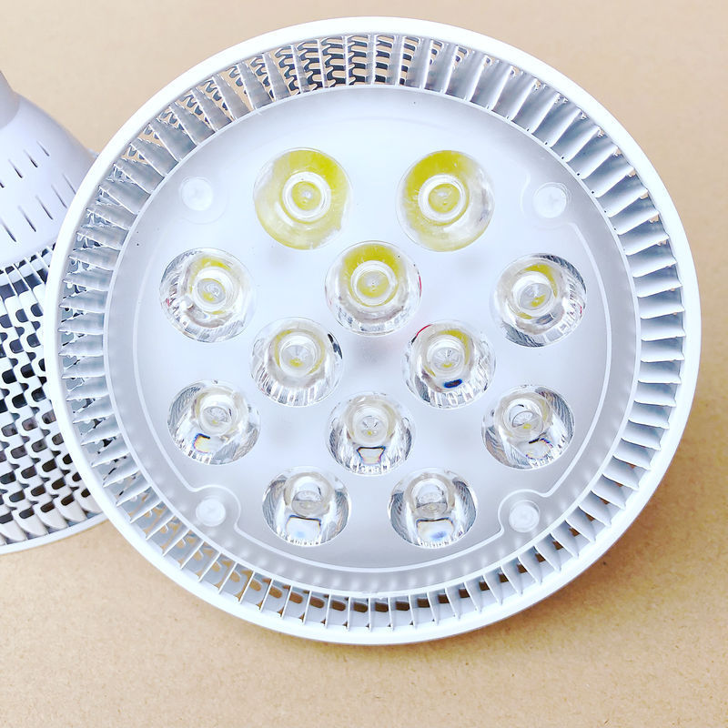 COB Led Bulb PAR38 PAR30 PAR20 20W E27 Warm White Cold White COB LED Spot light