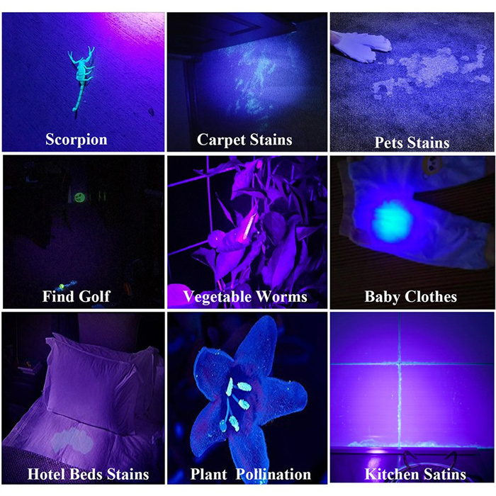 Professional 51 Bulbs Black Light Torch Aluminum LED UV Flashlights For Dog Urine Bed Bug