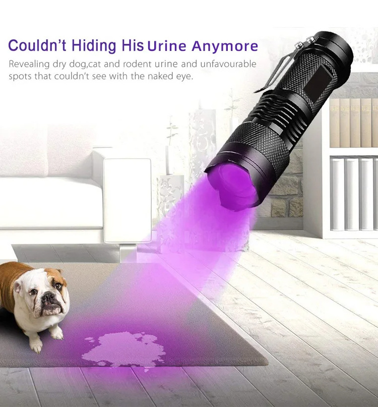 Drop Shipping Powerful Small Purple Zoomble UV Torch 395nm 365nm Flash Light UV Led Flashlight for Test Jade and Amber