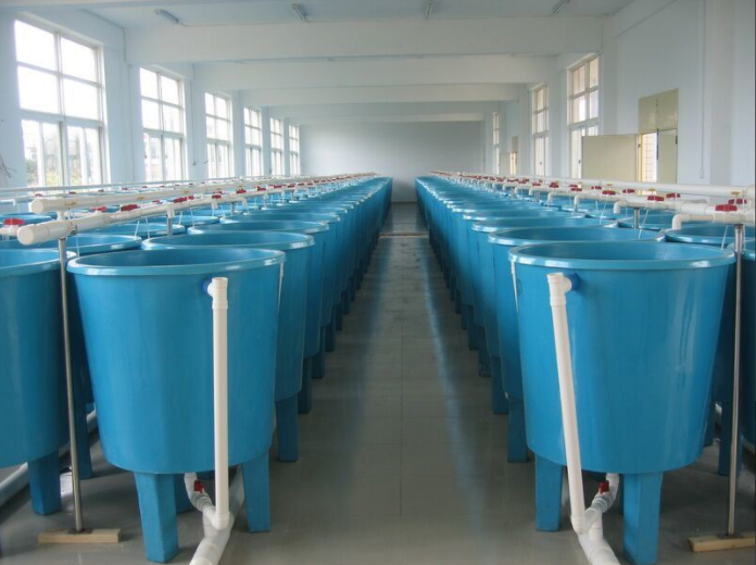 Aquaculture Farm Fiberglass Molded Fish Tank/Fishbreeding Pool, Circular Rectangular FRP GRP Fish Farming Tank Shrimp Pond