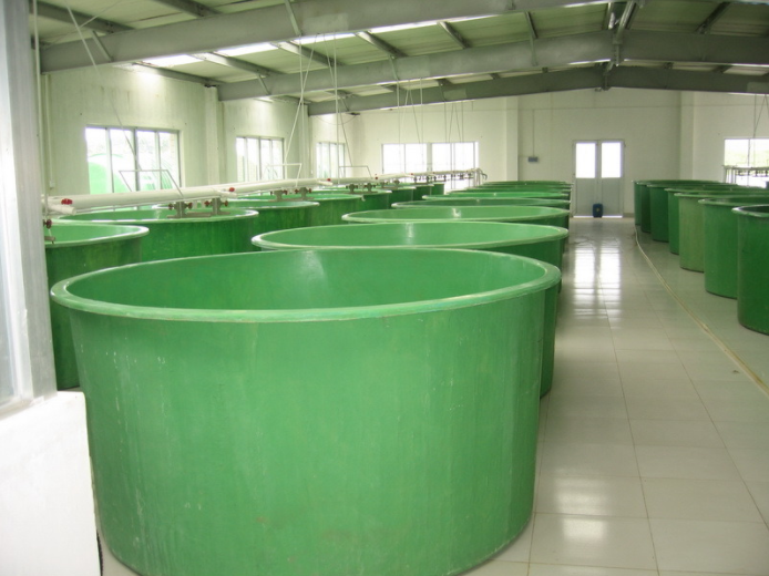 Aquaculture Farm Fiberglass Molded Fish Tank/Fishbreeding Pool, Circular Rectangular FRP GRP Fish Farming Tank Shrimp Pond