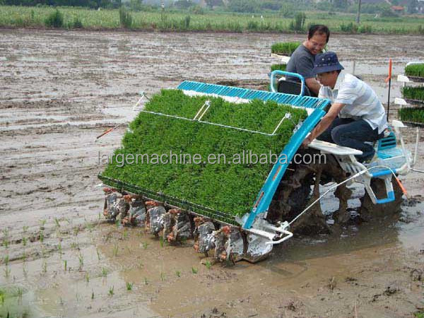 8 Row Paddy Transplanter Driving Type Rice Transplanter rice seeds planter/paddy seed planting machine