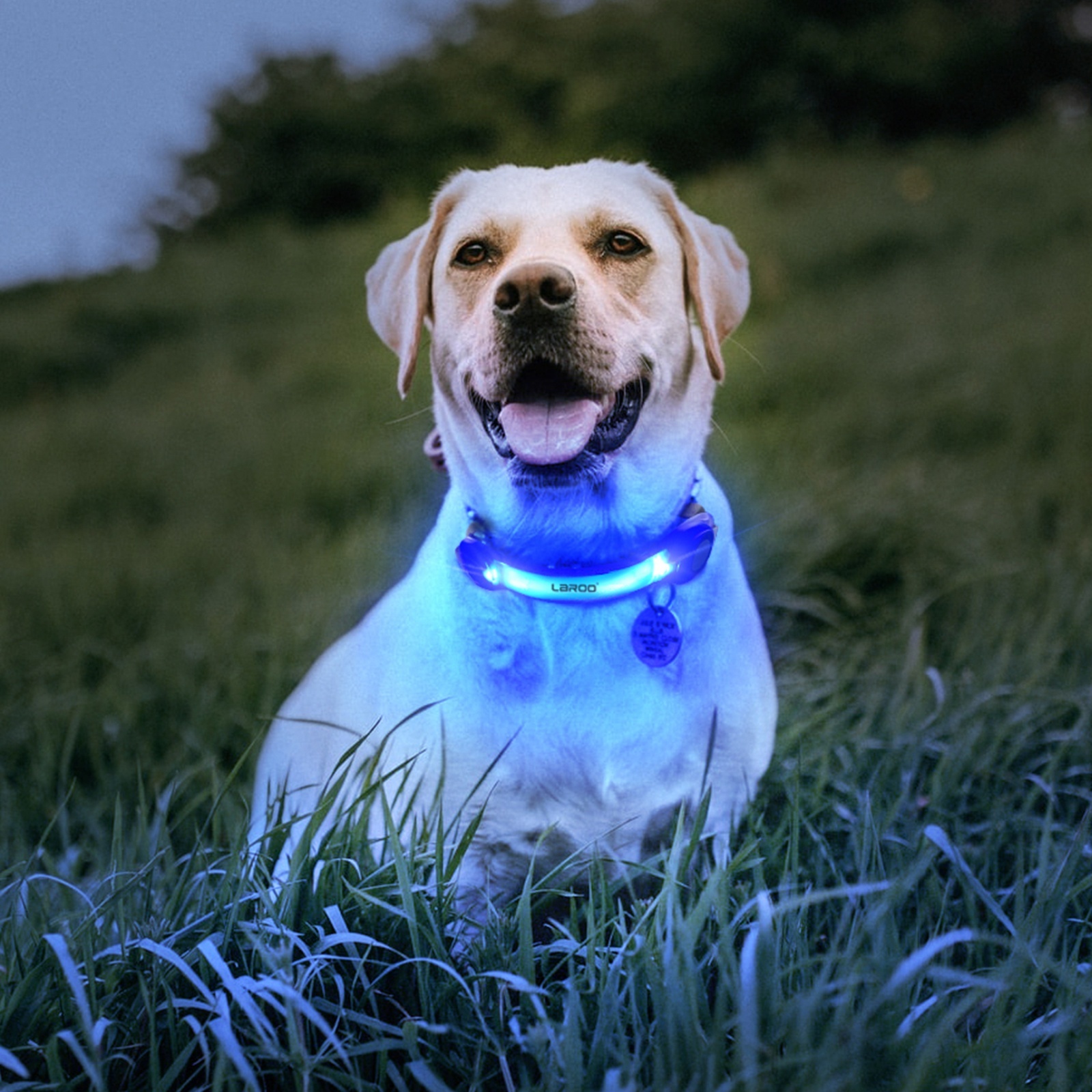 LaRoo Bright Safety Lights for Night Walking Running Waterproof USB Rechargeable Hiking Gear silicone dog Collar LED Light