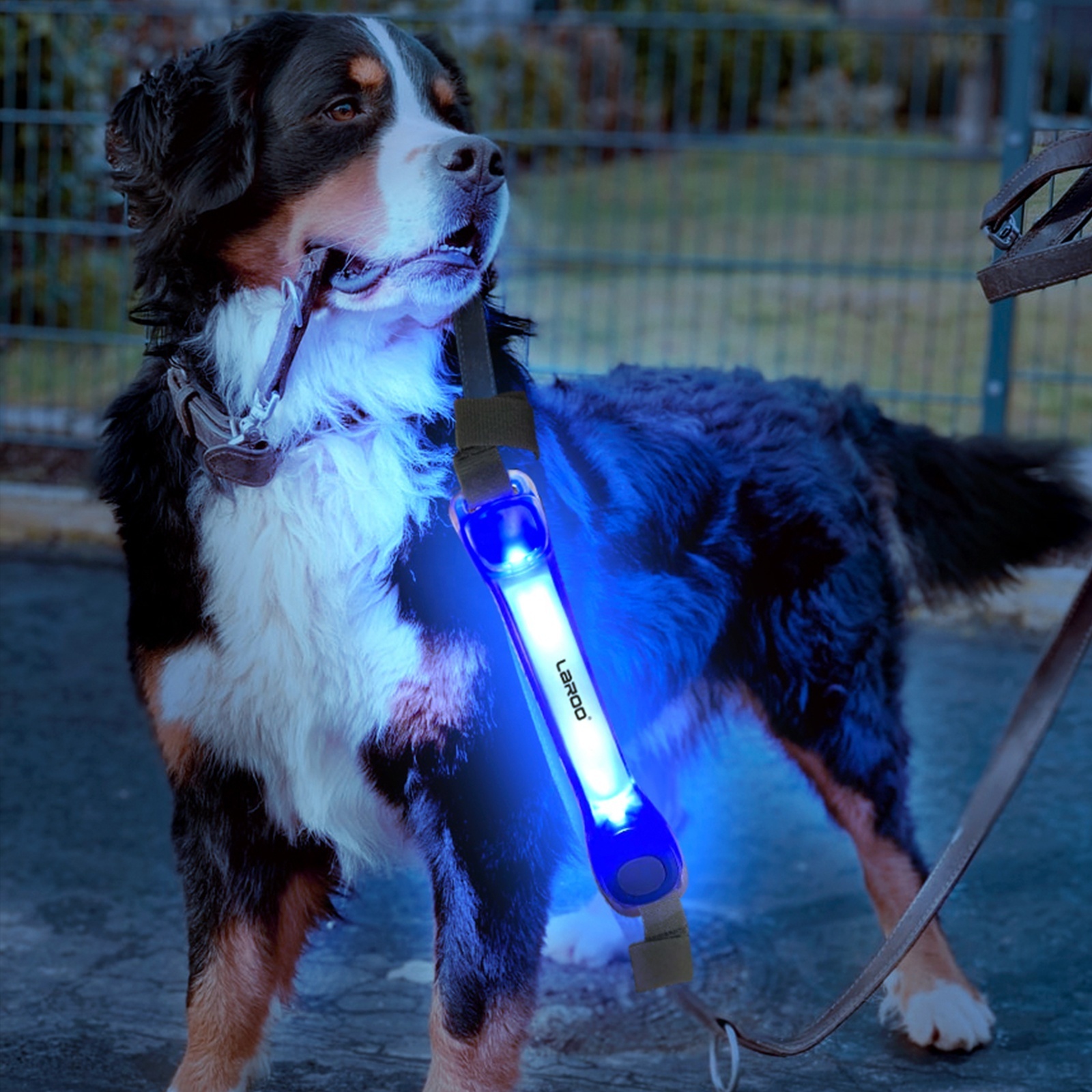 LaRoo Bright Safety Lights for Night Walking Running Waterproof USB Rechargeable Hiking Gear silicone dog Collar LED Light