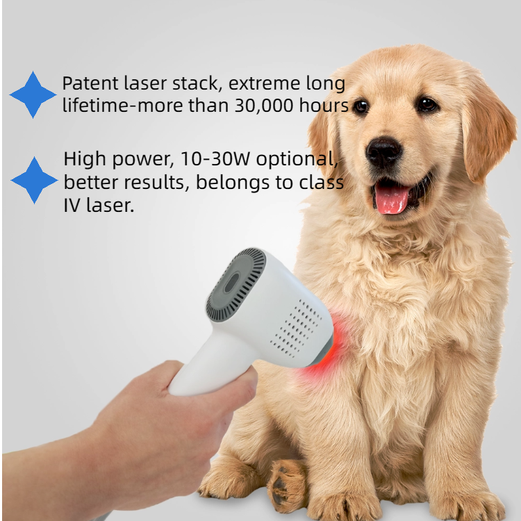 Veterinary Laser Therapy Equipment Equine Laser Therapy Dog Laser Therapy