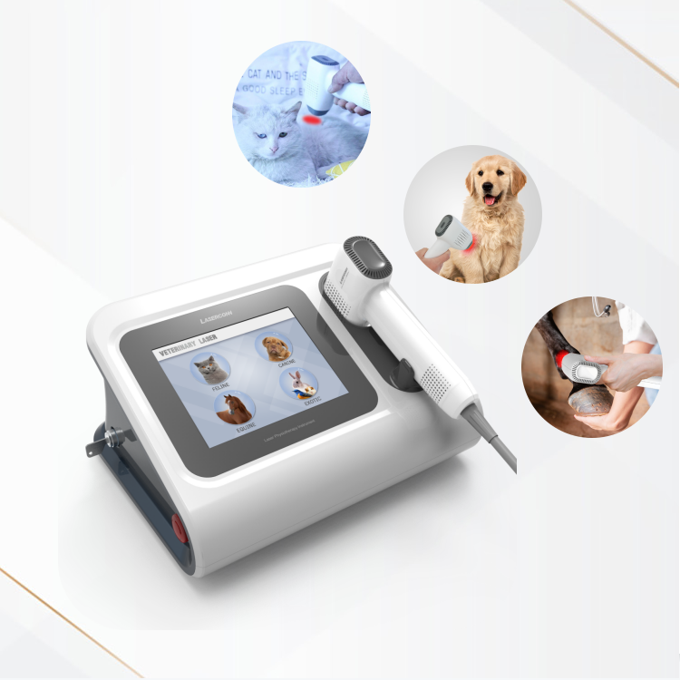 Class 3b laser veterinary cold laser animal healthcare low level laser therapy machine