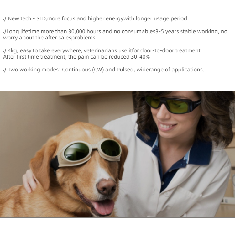 Veterinary Laser Therapy Equipment Equine Laser Therapy Dog Laser Therapy