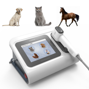 Veterinary Laser Therapy Equipment Equine Laser Therapy Dog Laser Therapy