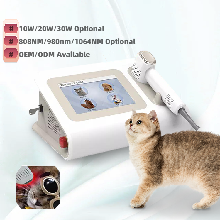 Veterinary Laser Therapy Equipment Equine Laser Therapy Dog Laser Therapy