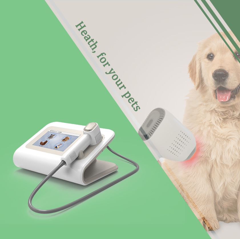 Class 3b laser veterinary cold laser animal healthcare low level laser therapy machine