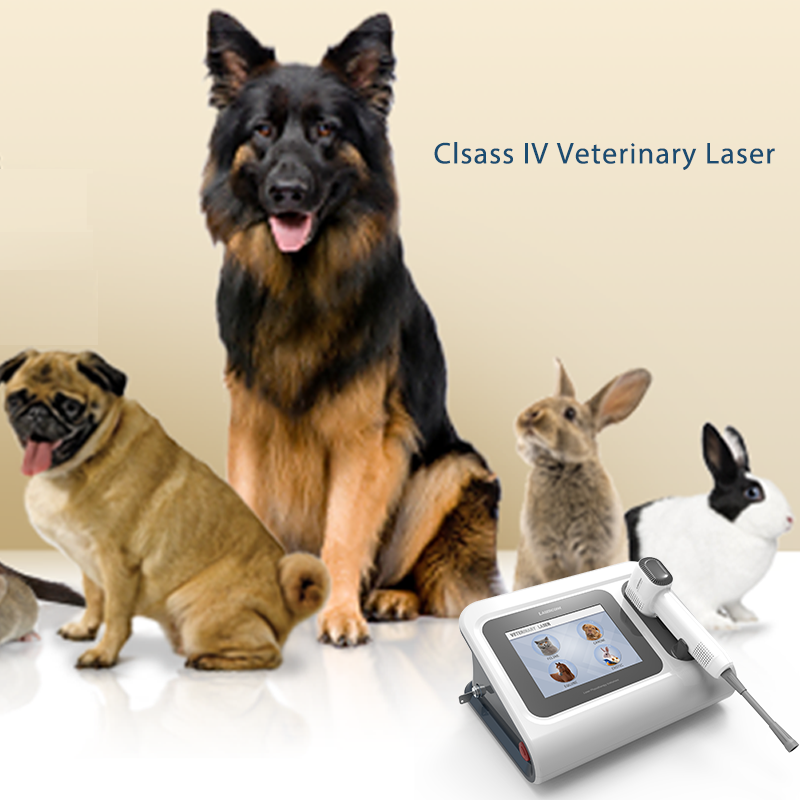 Cold Laser Therapy Device Anti-inflammation Veterinary Laser for Pet Pain Relief