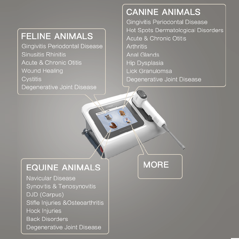 Animal wound healing veterinary laser 20w gigaa laser therapy physiotherapy device