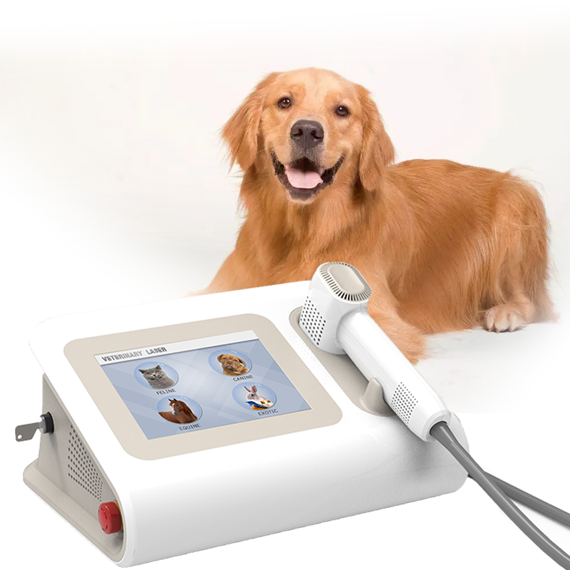 Cold Laser Therapy Device Anti-inflammation Veterinary Laser for Pet Pain Relief