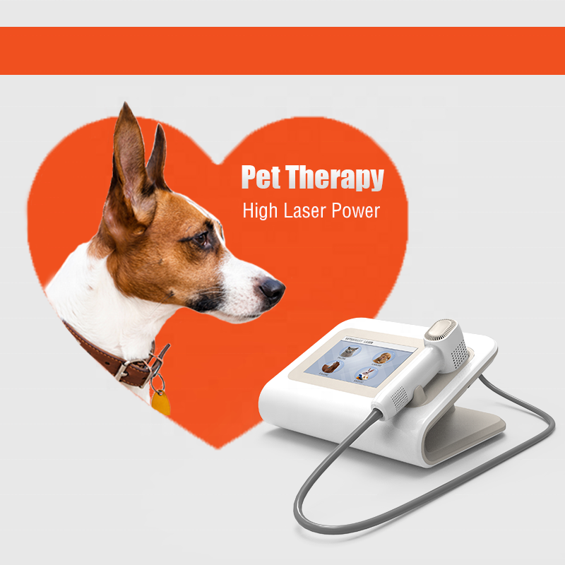 Cold Laser Therapy Device Anti-inflammation Veterinary Laser for Pet Pain Relief