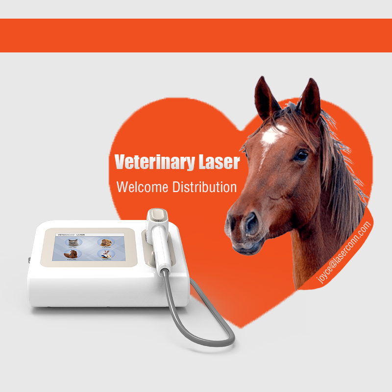 Animal wound healing veterinary laser 20w gigaa laser therapy physiotherapy device