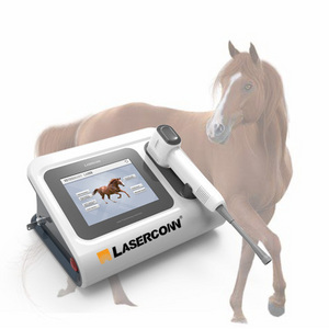 Class 4 horse therapy veterinary laser therapy equipment