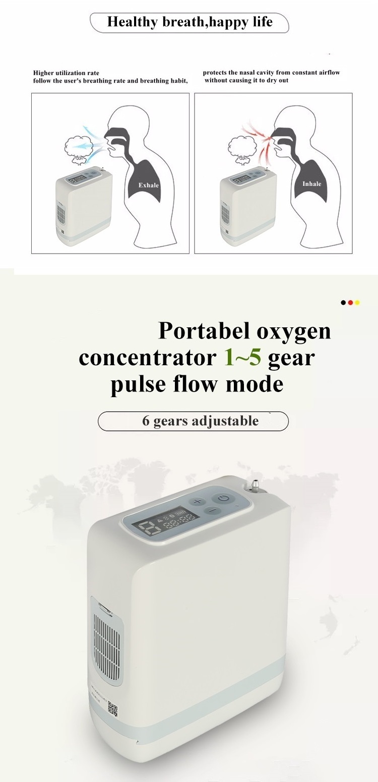 Home oxygen-concentrator dynmed-oxygen-concentrator 10litres 1 liter 2 liter 3 lpm molecular sieve for oxygen concentrator 5 l