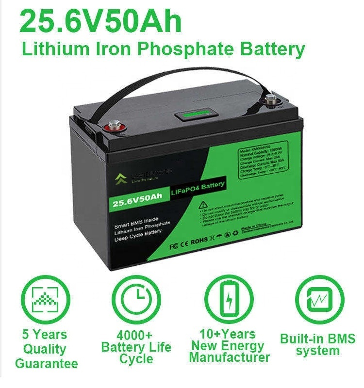 Home RV Camping Boat Marine Facility Solar Lithium Iron Phosphate Battery 24v 50ah 100ah 200ah LiFePo4 Battery Pack