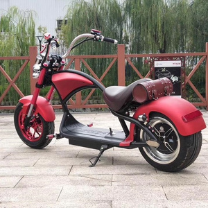 High Performance Scooter Moped 2 Wheel Electric Motorcycle 1000w