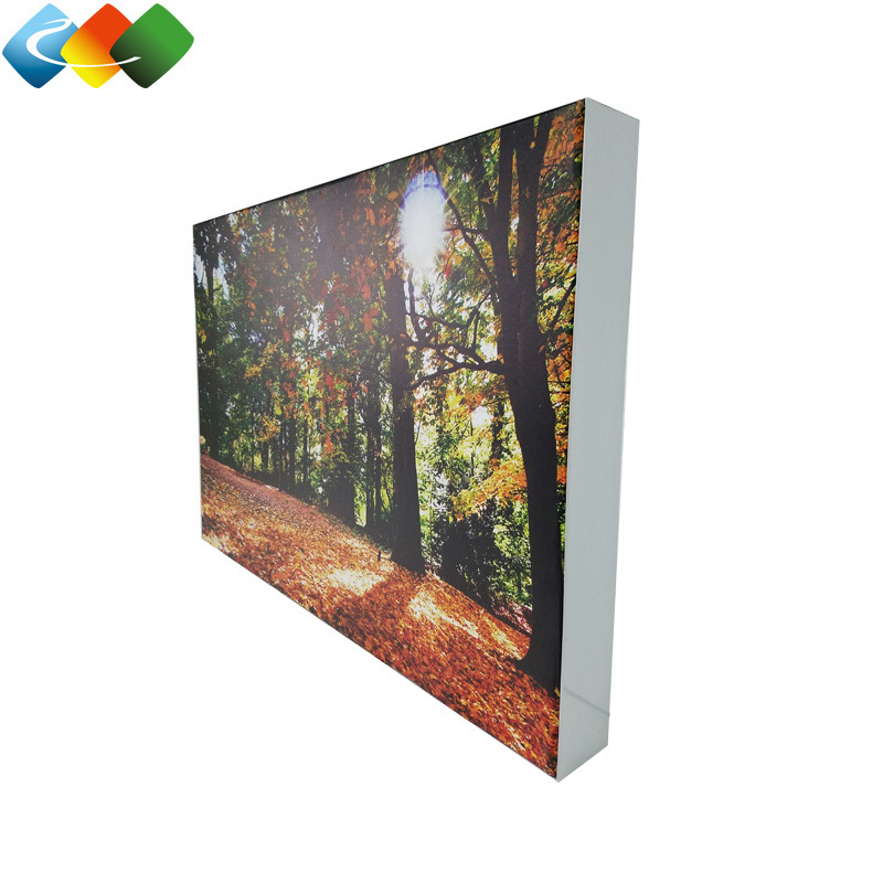 Hot Selling Display Fabric Led Wall Light Box Frame