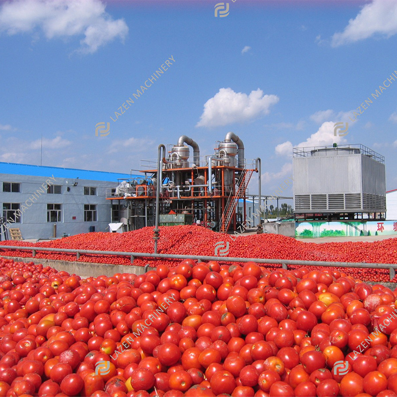 Automatic Fresh Ketchup Processing Tomato Puree Production Line Tomato Paste Making Machine