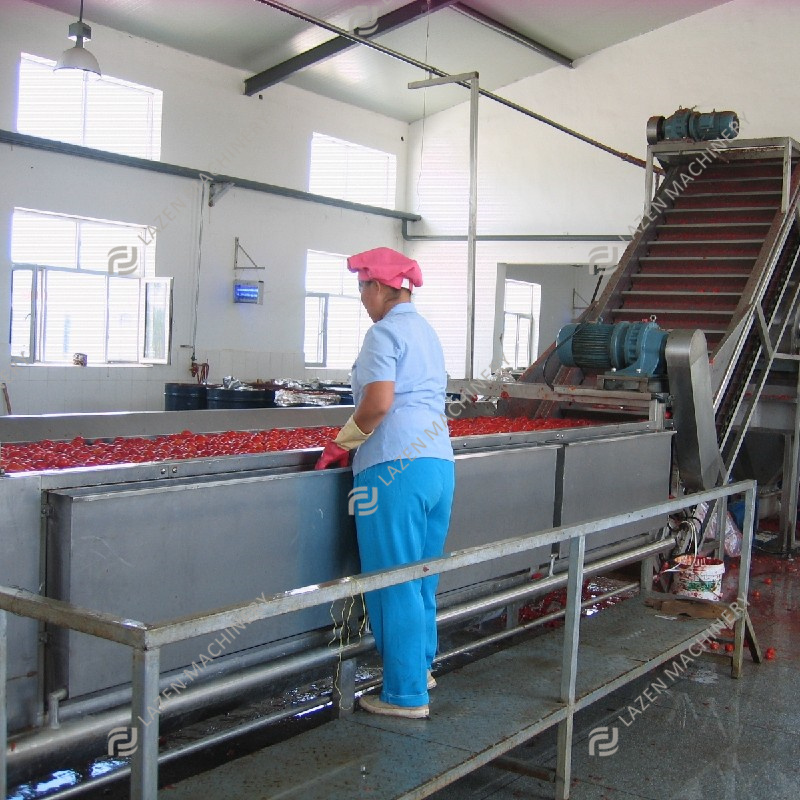 Tomatoes paste making machine automatic tomato paste processing plant