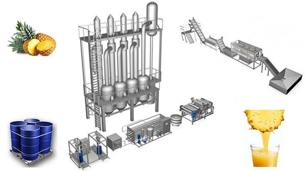 1-200T/D Automatic fruit juice making machine lemon pineapple juice processing machine