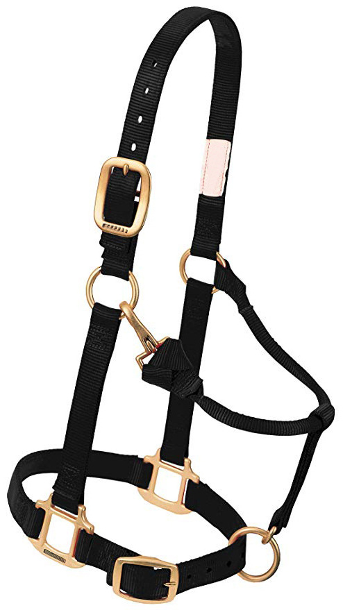 Top Quality Horse bridle dressage hunter jumping adjustable horse halter bridle and rein racing horse accessories wholesaler