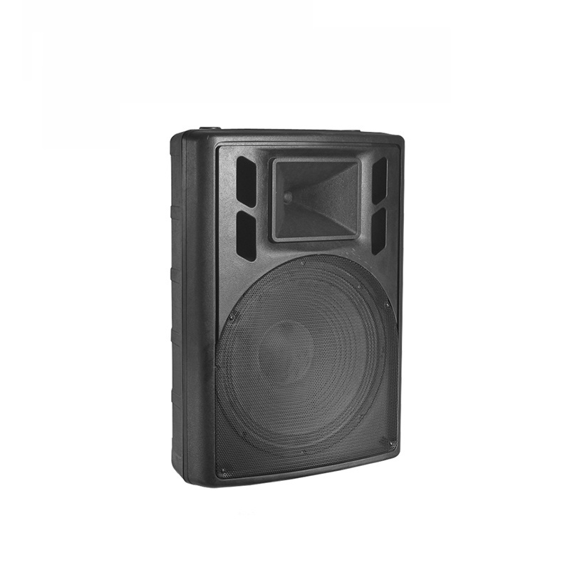 15 inch Plastic speaker box active two way full range 500W RMS with DSP MP3 TWS Bluetooth private cabinet sound equipment