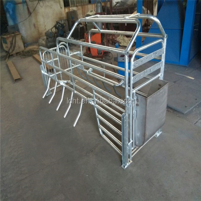 pig farm equipment farrowing crate sow bed