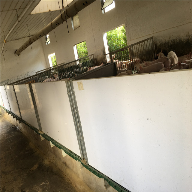 Pig penning divider PVC panel